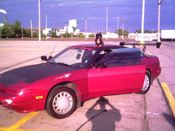 picture023d.jpg